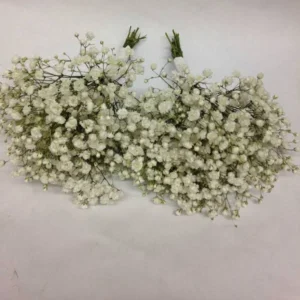 T.O. - PAYMENT 2 of 2 - Final $130 of $300 total.